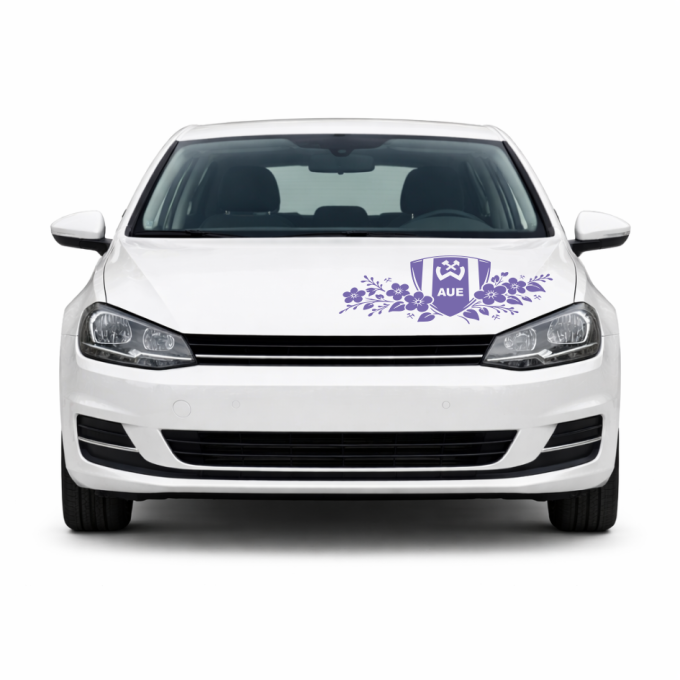 BSG Wismut Aue Aufkleber „Wappen mit Blumenranke“ | Dekorfuchs