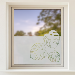 Sichtschutz - Monstera Fensterblätter